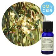 定期購入・FL 精油 ユーカリ・グロブルス 10mL
