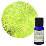 定期購入・FL 精油 ティートリー 10mL