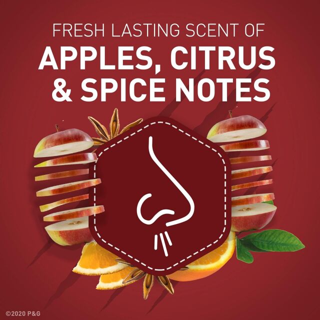 オールドスパイスの通販・価格比較 - 価格.com オールドスパイス