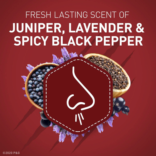 Old Spice オールドスパイス Wild Collection ワイルドコレクション