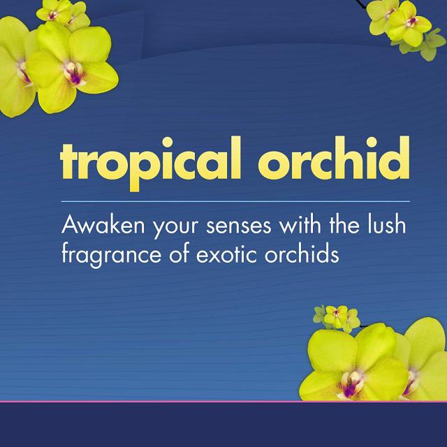 Tropical orchid トロピカルオーキッド4