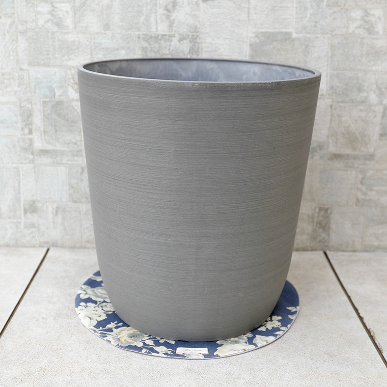 グライスポット・グレー 8号鉢用