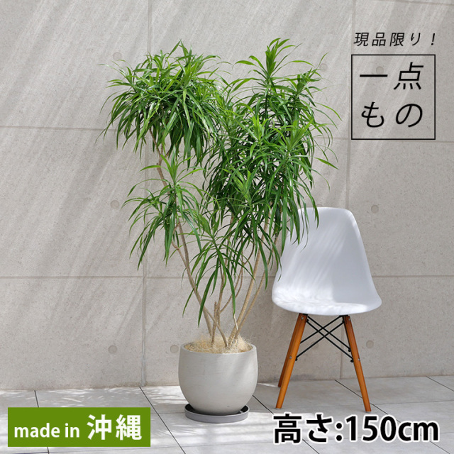 一点ものの商品一覧