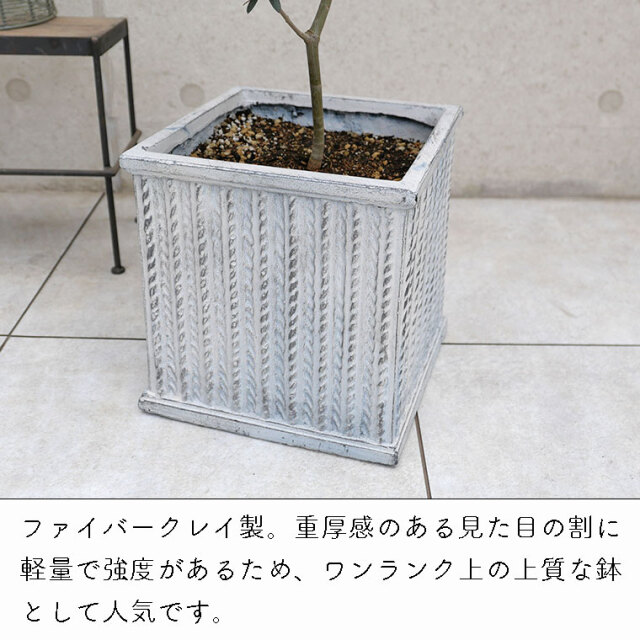 ソテツ-001 鉢植え（アンティークホワイト） 観葉植物と植木鉢の