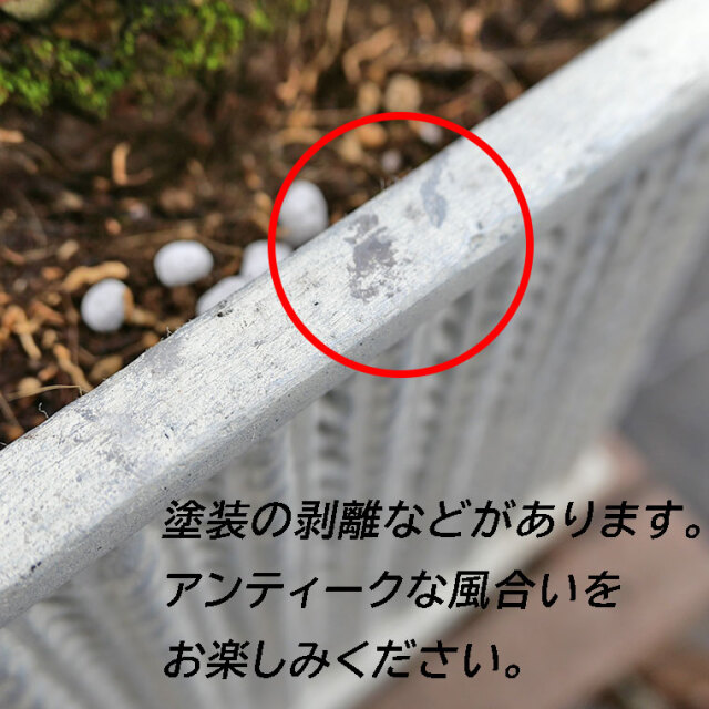 ソテツ-001　鉢植え（アンティークホワイト）