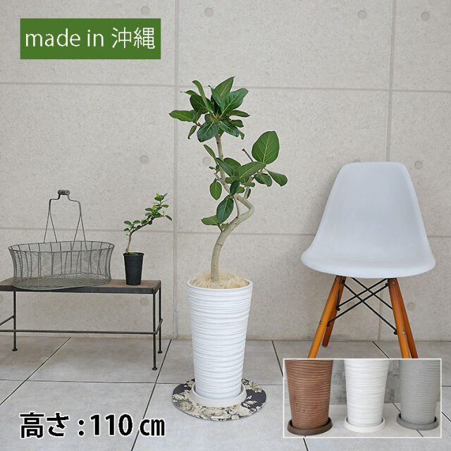 ブラック 黒 陶器 ベンガレンシス【現品】8 モノトーン ブラック 黒