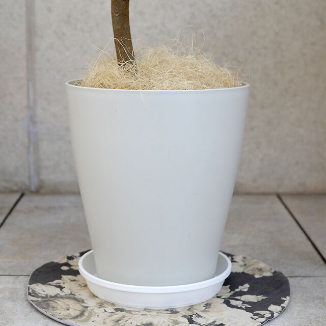フランスゴム 7号鉢 観葉植物と植木鉢の専門店cocolate（ココレート）