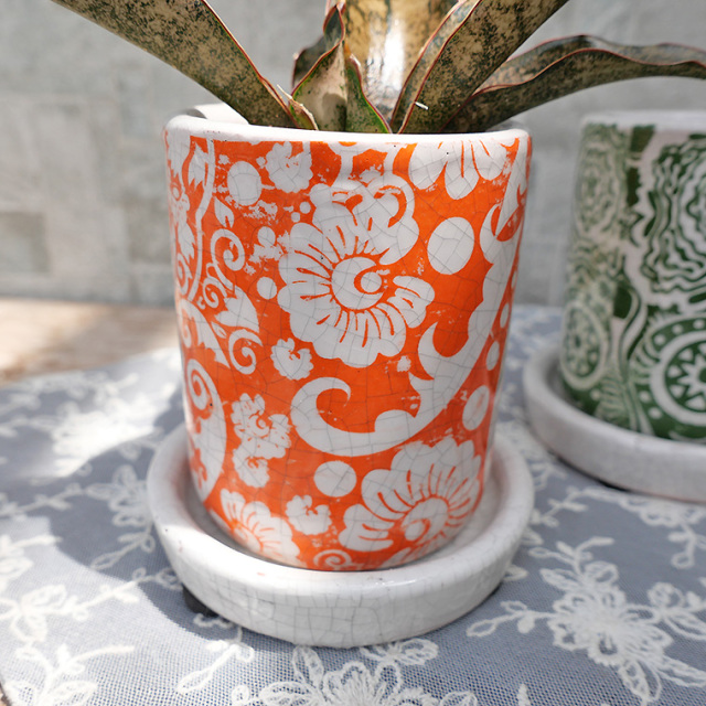 サンスベリア　キルキー・コパトーン　陶器鉢植え