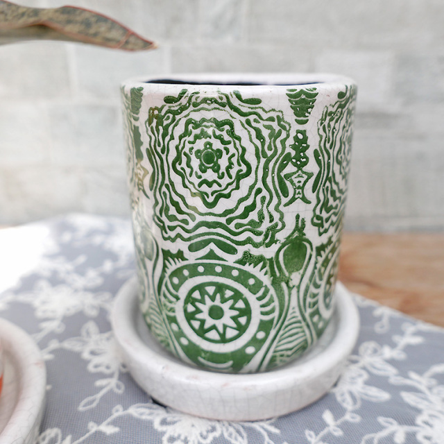 サンスベリア　キルキー・コパトーン　陶器鉢植え