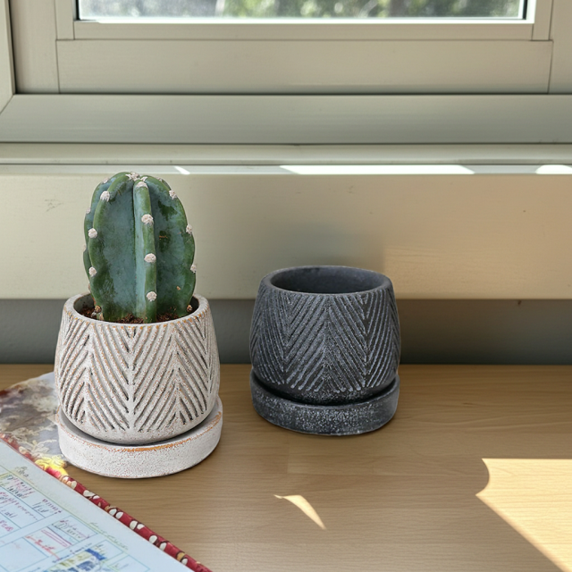 ハシラサボテン 陶器鉢植え（ヘンリーボーン・S） 観葉植物と植木鉢の