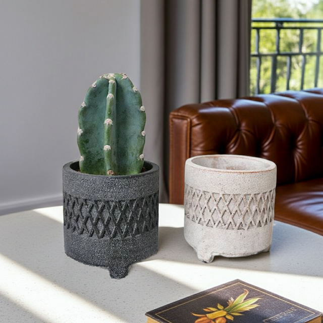 ハシラサボテン　陶器鉢植え（ダイヤスタンド・S）