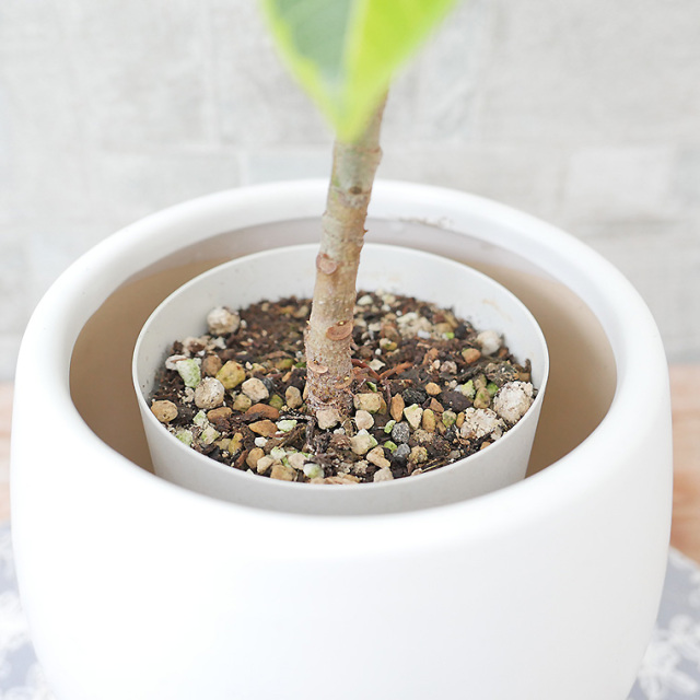 陶器鉢カバー（マットシリーズ/ムーン）