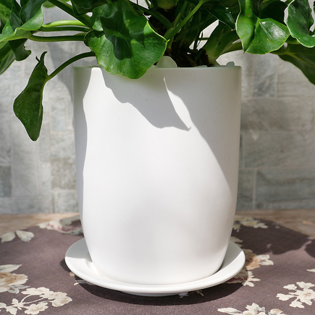 セローム・スーパーアトム-001　陶器鉢植え（マットシリーズ/トールエッグ）