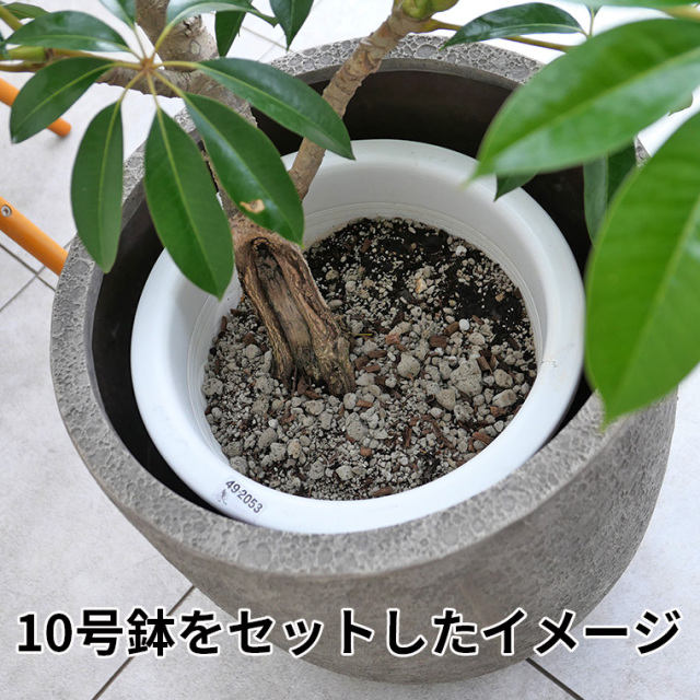 軽量FRP製ラヴァライト Uポット 10号鉢用セットイメージ