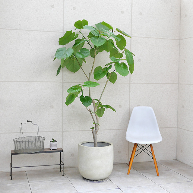 軽量FRP製ラヴァライト Uポット・クリーム