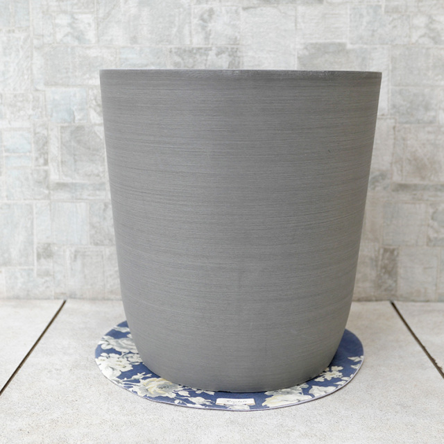 グライスポット・グレー 8号鉢用