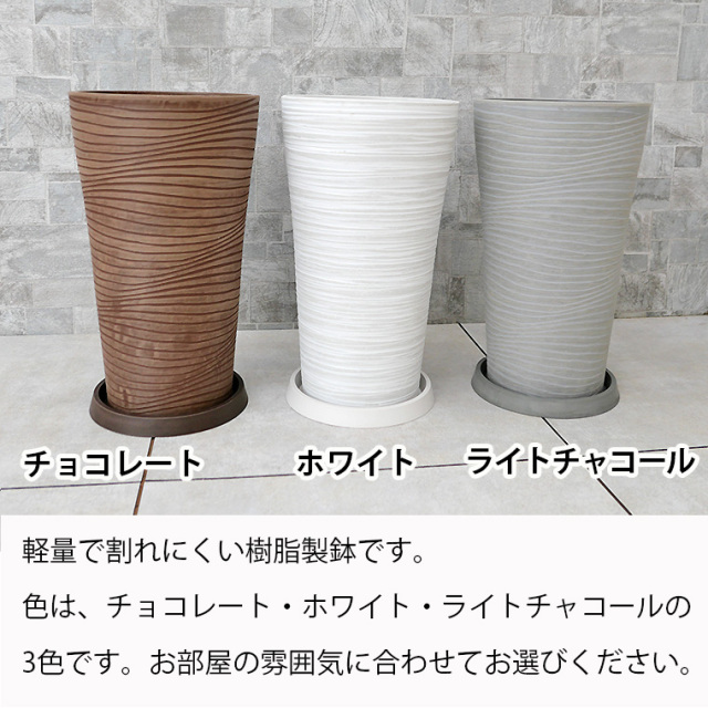モンステラ 樹脂製鉢植え（12AH22） 観葉植物と植木鉢の専門店