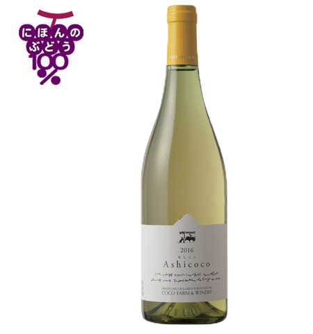 2016Ashicoco