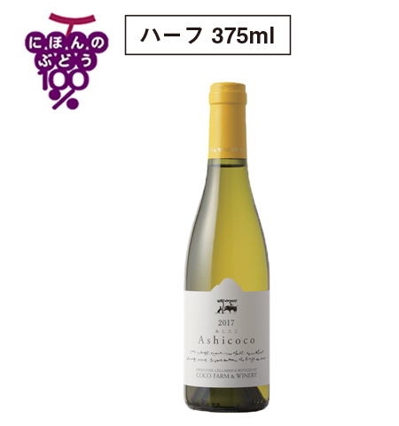 2017 Ashicoco ハーフ