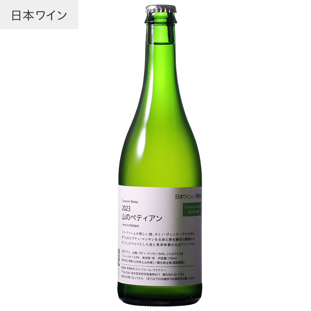 2023 山のペティアン