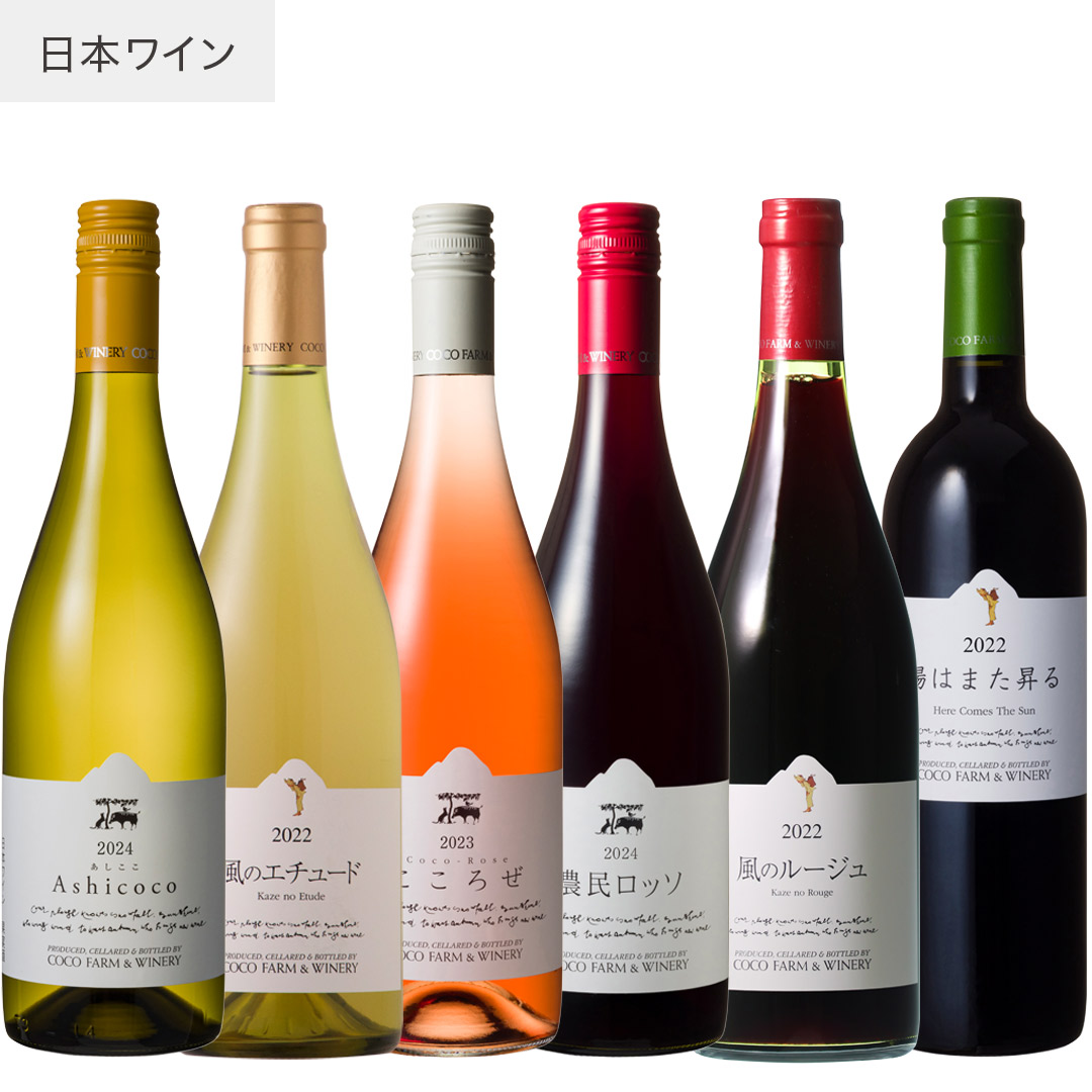 日本ワイン 稀少 6本セット 希少 日本ワイン 6本セット 金賞受賞入 赤