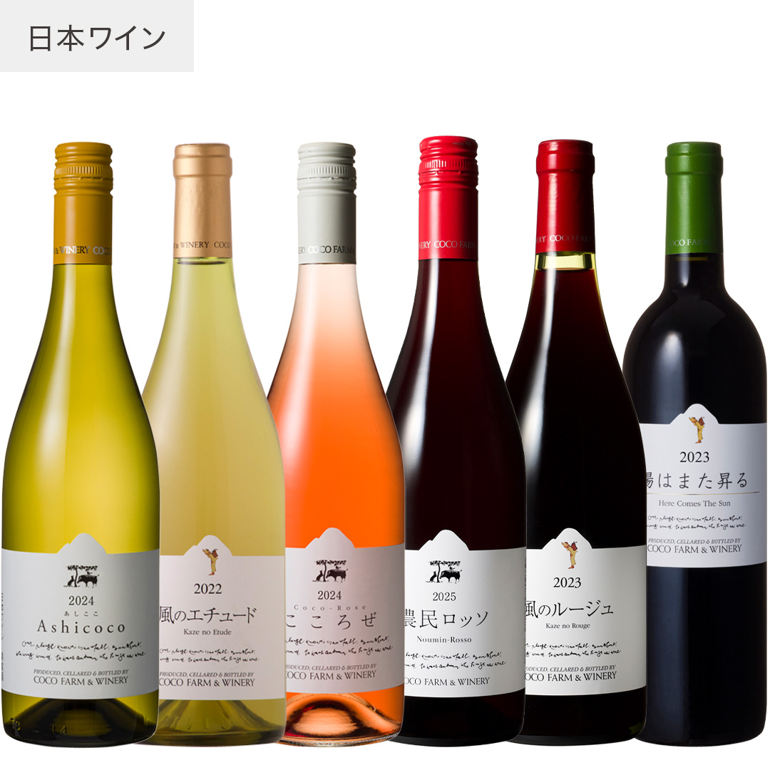 24 22 24 25 23 23 秋冬ココワイン6本セット