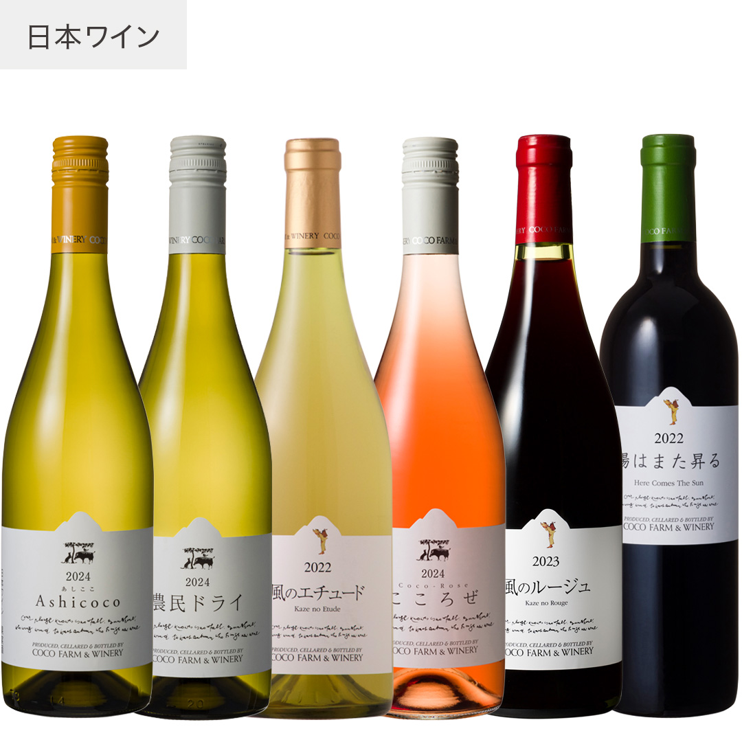 242422242322 春夏ココワイン6本セット