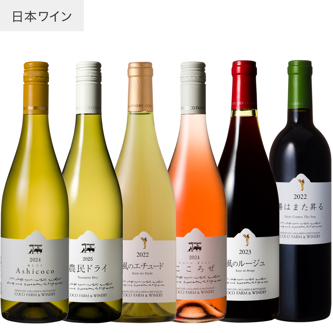 242522242322 春夏ココワイン6本セット