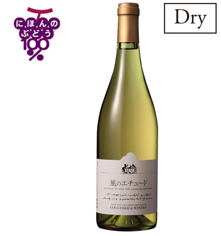 MV風のエチュードDry