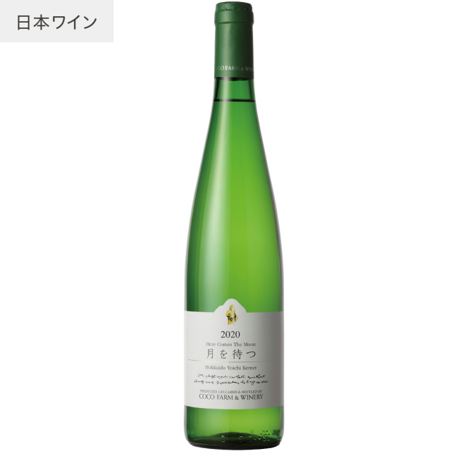 2020　月を待つ