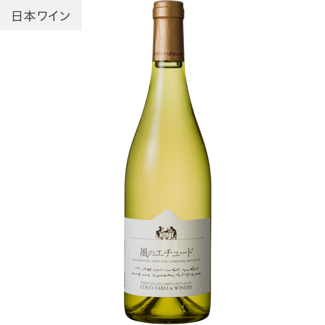 風のエチュード