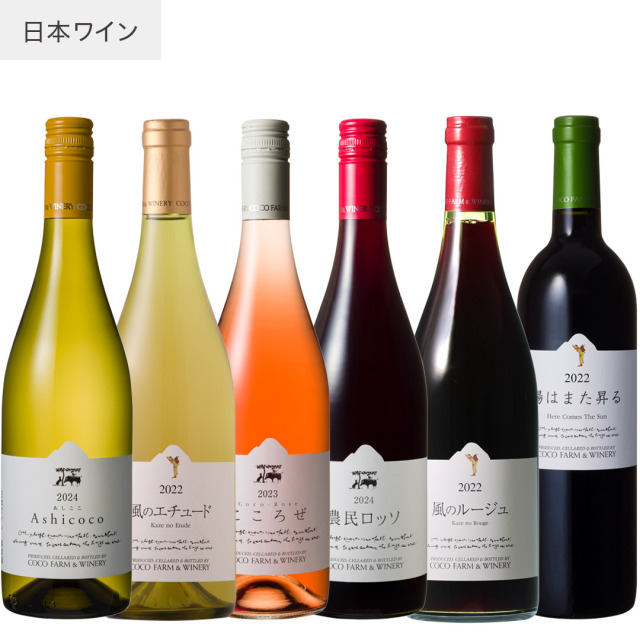 秋冬ココワイン6本セット　242223242222