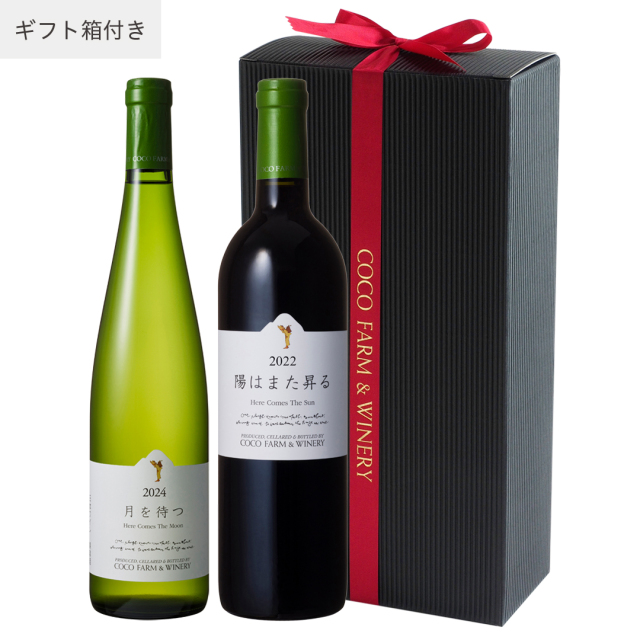 22 24 月と太陽セット