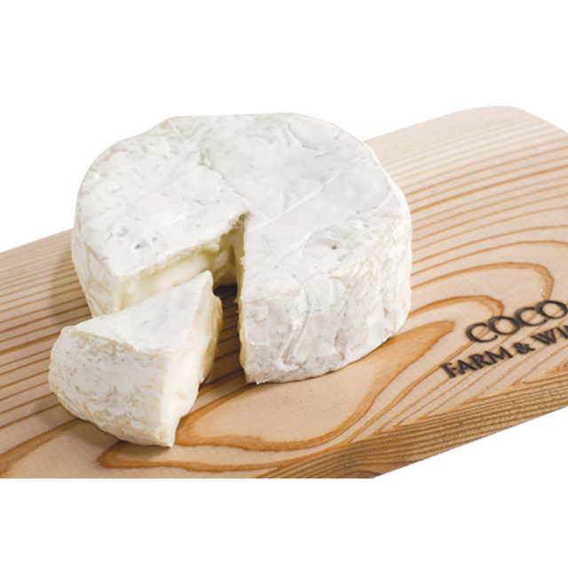 カマンベールチーズイメージ