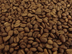 モカブレンド　(ブレンドコーヒー)　２００ｇ