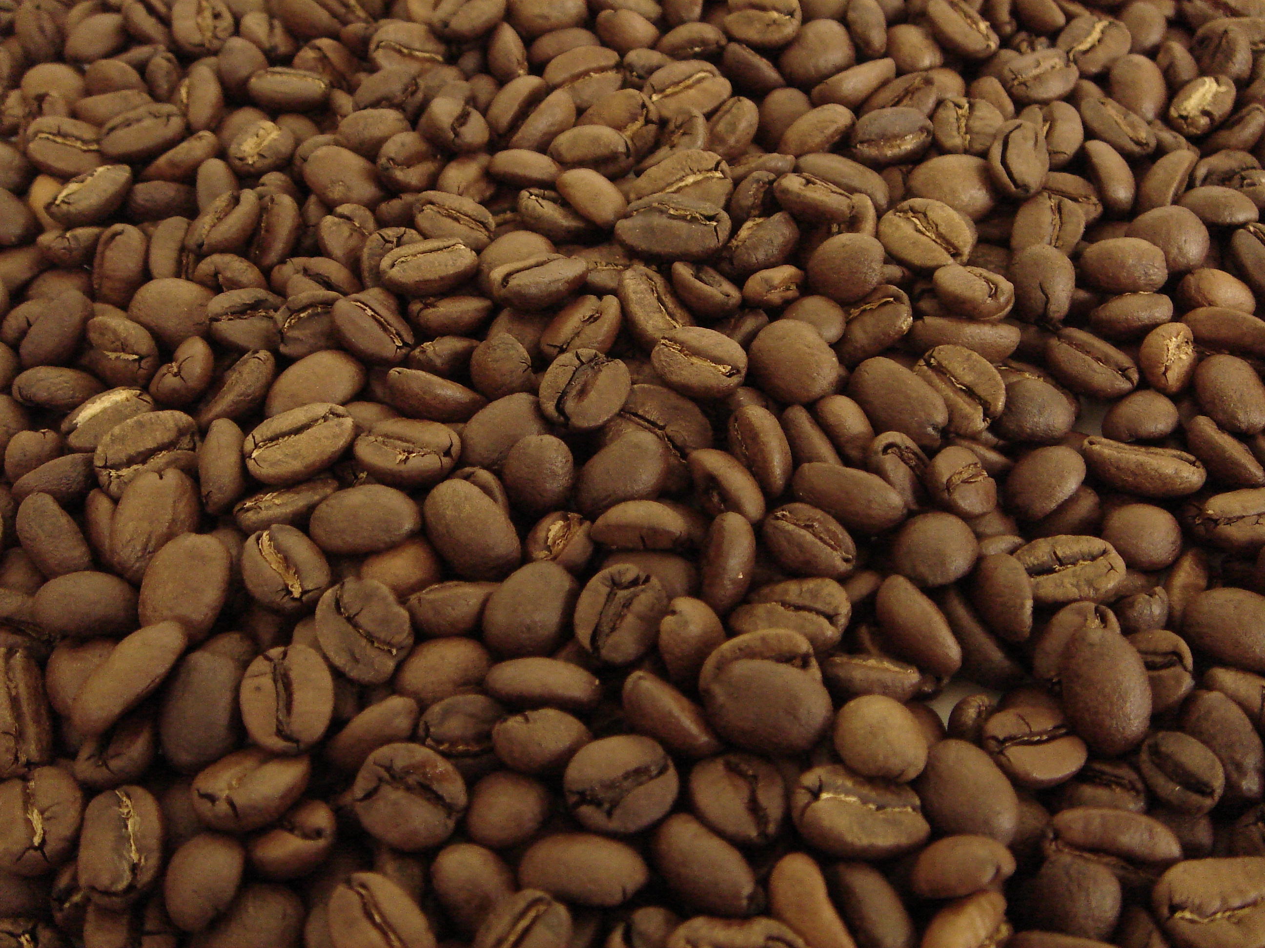 モカブレンド　(ブレンドコーヒー)　２００ｇ