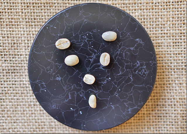 ペルーG1チャンチャマヨウオッシュド