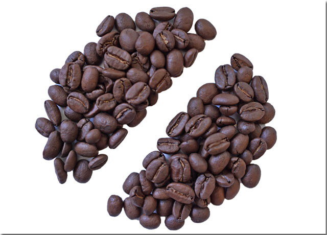 ペルーG1チャンチャマヨウオッシュド