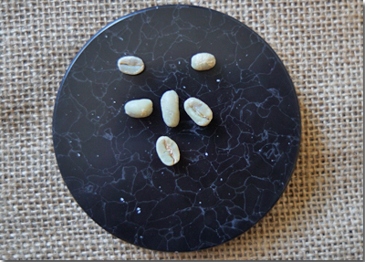 エチオピアイルガチェフェG-1ゲデブウオッシュド