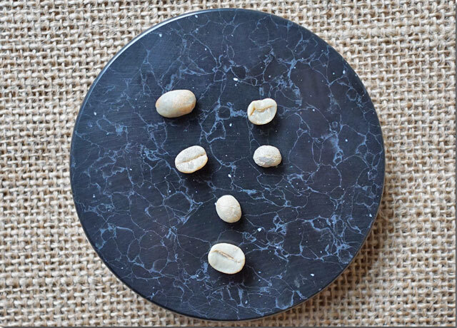 メキシコHGEPサン・クリストバルマヤ