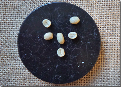 ホンジュラスオコテペケSHGEP