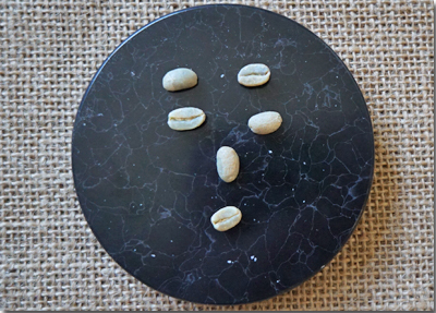 パプアニューギニアゴロカオカパAX