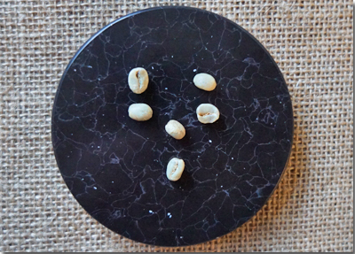 グァテマラパカヤリト農園SHBEP