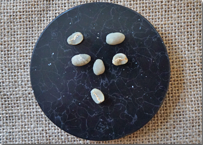 インドネシアマンデリンG-1トバコ