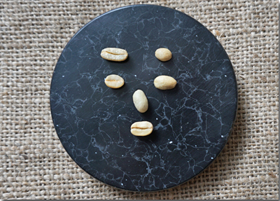 イエメンマタリ#9