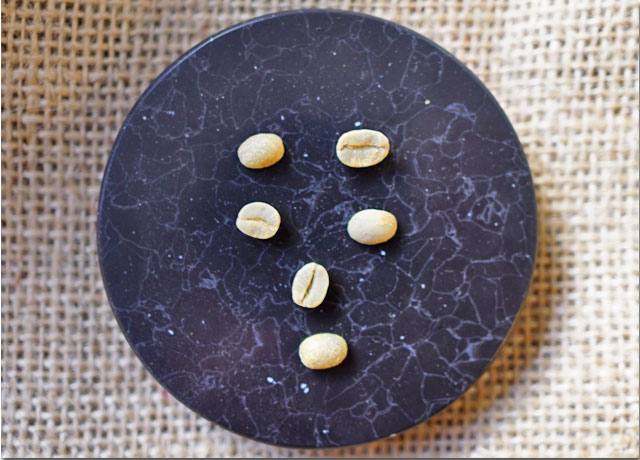 ブラジルパッセイオ農園ムンドノーヴォ