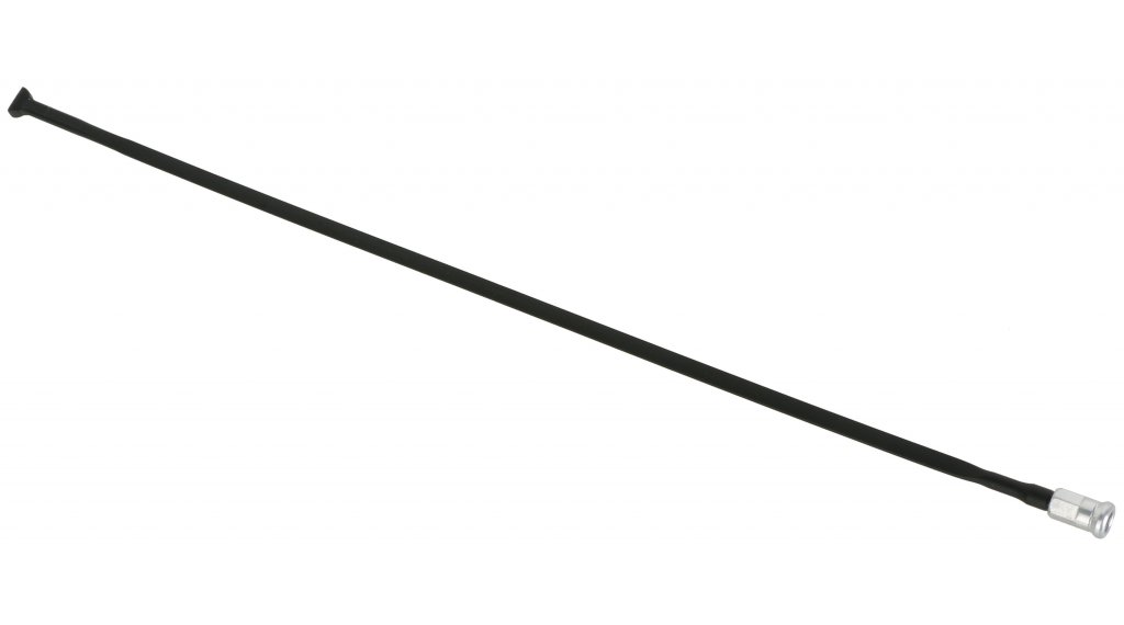 CAMPAGNOLO カンパニョーロ SHAMAL シャマル スポーク 1本