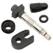 CAMPAGNOLO カンパニョーロ FULCRUM フルクラム 2-WAYFIT バルブ C15 WH-SH001