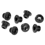 CAMPAGNOLO カンパニョーロ FC-SR300 チェーンリングボルト ※現行品番 FC-PO100