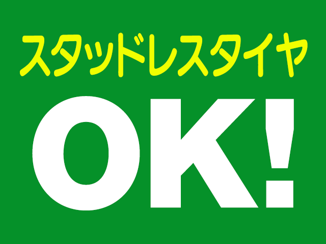 スタッドレスタイヤへの装着OK!